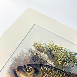 DW - PP SM3293 - CREME - 40X50 - 50X60 