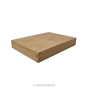 CASANI HOUTEN SCHILDERPANEEL - 10x40x3CM