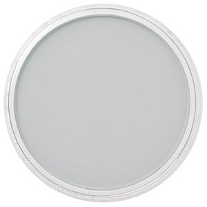 PP - PAYNES GREY TINT - 840.7