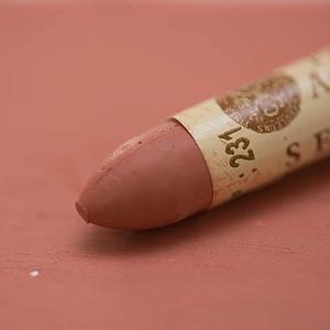 OIL PASTEL 5ML - 231 GOLD BROWN