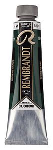 REMBRANDT OLIEVERF 40ML - 629 GROENE AARDE 