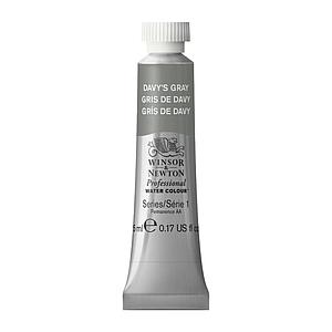 PROFESSIONAL WATERVERF TUBE 5ML - 217 DAVY'S GRIJS