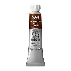 PROFESSIONAL WATERVERF TUBE 5ML - 676 VAN DIJCK BRUIN
