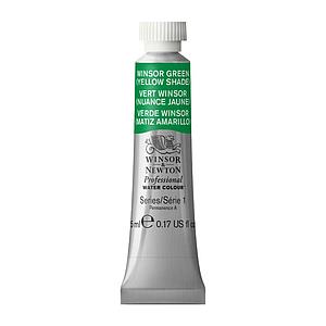 PROFESSIONAL WATERVERF TUBE 5ML - 721 WINSORGROEN (GELE SCHIJN)