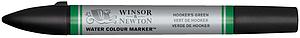 WATERCOLOUR MARKER - 311 HOOKERS GREEN