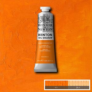 WINTON OIL COLOUR 37ML - 090 CADMIUMORANJE TINT 