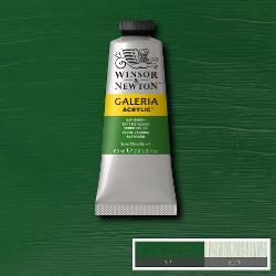 GALERIA ACRYLIC TUBE 60ML - 599 SAP GREEN