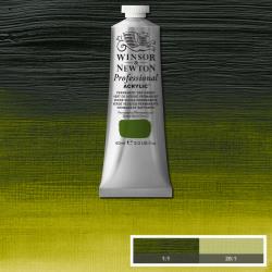 ACRYL PROFESSIONAL TUBE 60ML - PERMANENT SAP GREEN