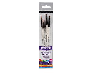 GRADUATE DETAIL BRUSH SET - 5 STUKS