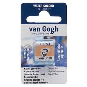 VAN GOGH AQUA - NAP - 224 NAPELSGEEL ROOD