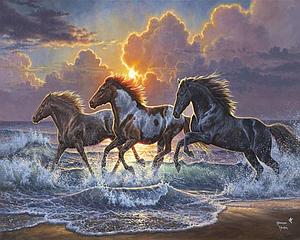 PAINT BY NUMBERS 40x50CM - HORSE TRIO