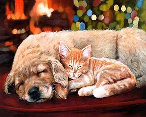 PAINT BY NUMBERS 40x50CM - SLEEPING COMPANIONS