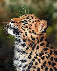PAINT BY NUMBERS 40x50CM - CURIOUS LEOPARD