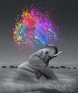 PAINT BY NUMBERS 40x50CM - ELEPHANT AIR COLORS
