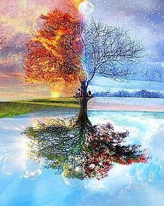 PAINT BY NUMBERS 40x50CM - 4 SEASONS TREE