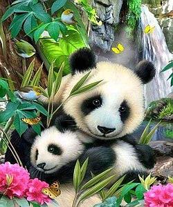 DIAMOND PAINTING 40x50CM - FAMILY OF PANDAS