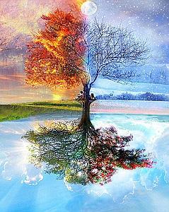 DIAMOND PAINTING 40x50CM - 4 SEASONS TREE CLASSIC