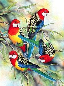 DIAMOND PAINTING 40x50CM - PARROTS ON BRANCH