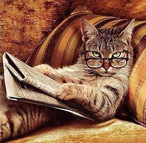 DIAMOND PAINTING 40x50CM - THE THINKING CAT
