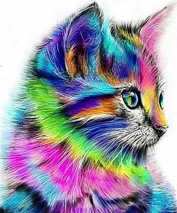 DIAMOND PAINTING 40x50CM - COLORFUL KITTEN