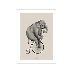 ELEPHANT RIDING - CELLARD'OR - 30X40CM