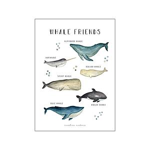 WHALE FRIENDS - NICOLINE VICTORIA - DINA3