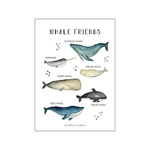 WHALE FRIENDS - NICOLINE VICTORIA - DINA3
