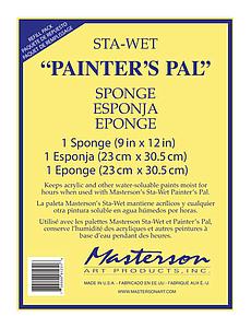 STA-WET HANDY SPONGE 1ST - 21.6x17.8CM